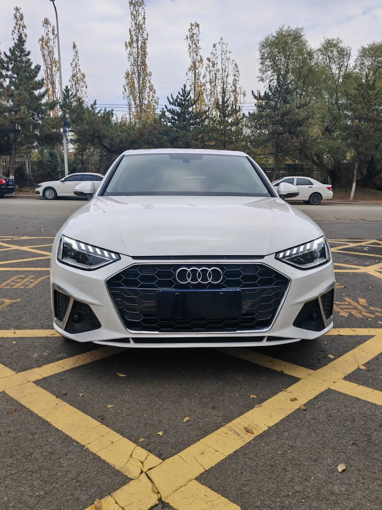 Audi 2020 A4L 2.0TFSI 40TFSI Fashion Dynamic Automatic 3
