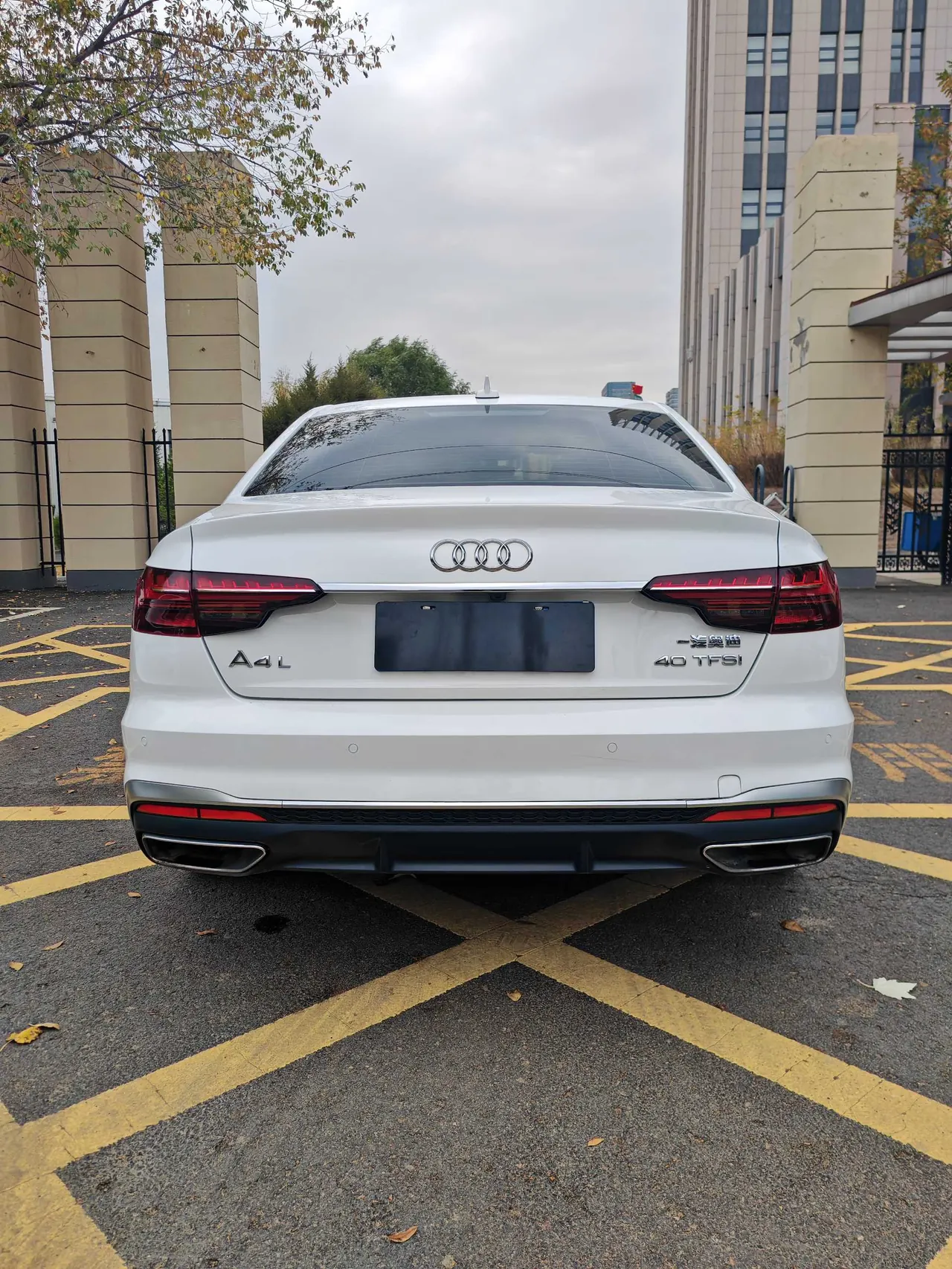 Audi 2020 A4L 2.0TFSI 40TFSI Fashion Dynamic Automatic 8