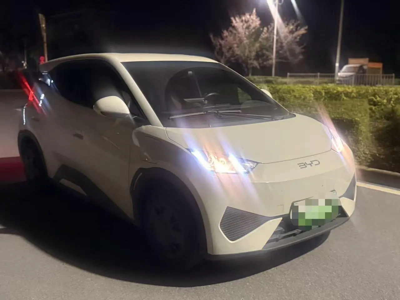 BYD 2025 Seagull Smart Driving Edition 305km Vital Edition Automatic Gear 3