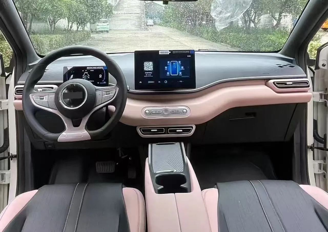 BYD 2025 Seagull Smart Driving Edition 305km Vital Edition Automatic Gear 5