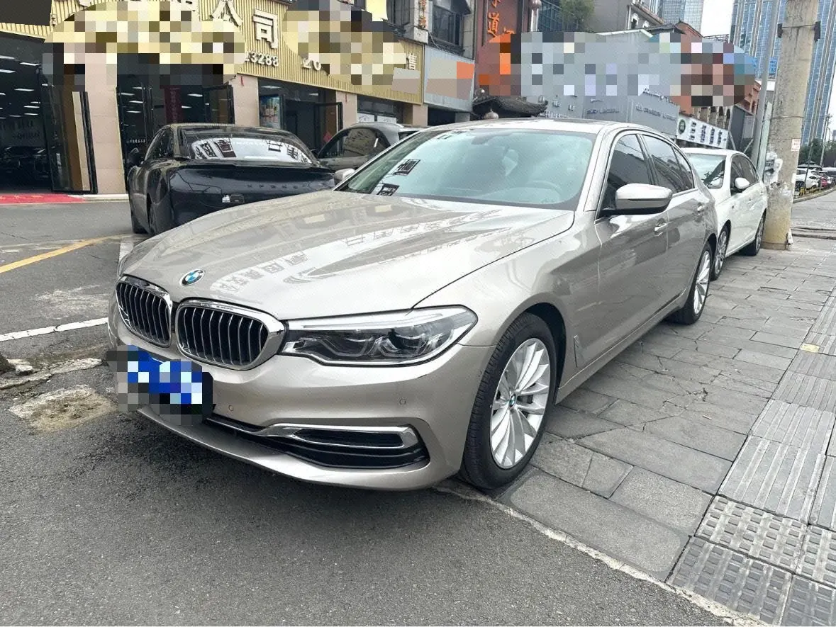 BMW 5 Series 2020 530Li 2.0T Premium Luxury Suit Automatic Gear - View 1