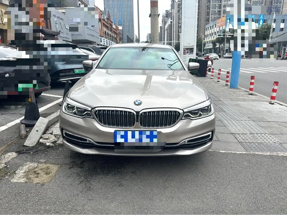 BMW 5 Series 2020 530Li 2.0T Premium Luxury Suit Automatic Gear 2