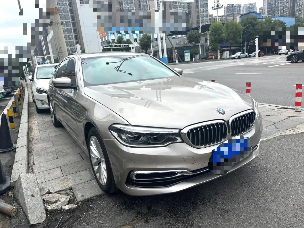 BMW 5 Series 2020 530Li 2.0T Premium Luxury Suit Automatic Gear 3