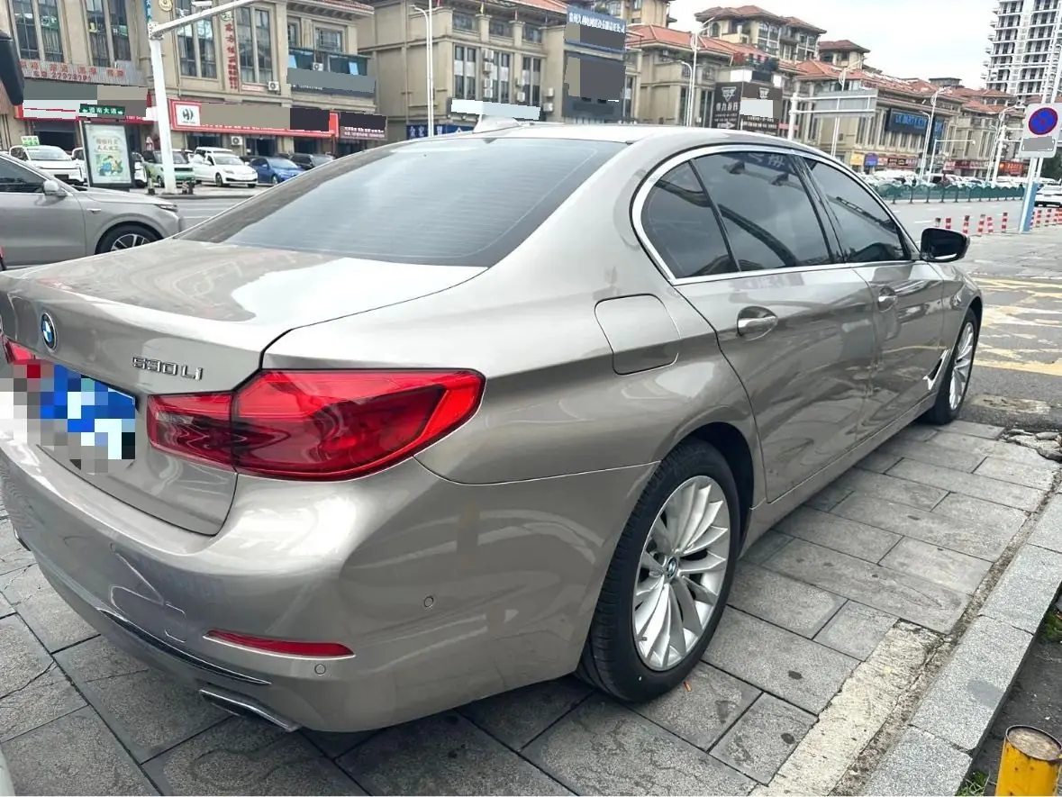 BMW 5 Series 2020 530Li 2.0T Premium Luxury Suit Automatic Gear 8