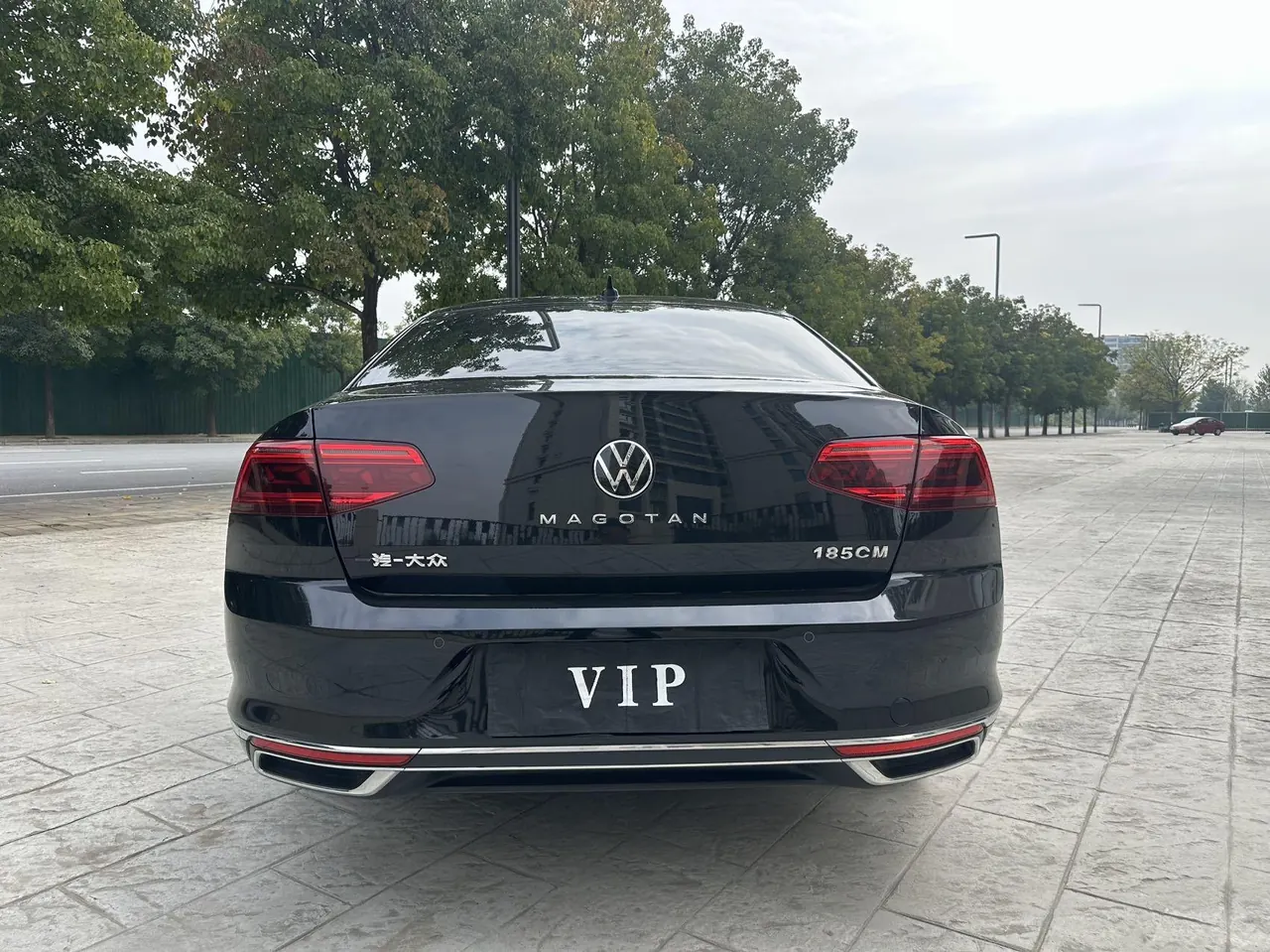 Volkswagen 2020 Magotan 2.0TSI 330TSI Leading Automatic 8
