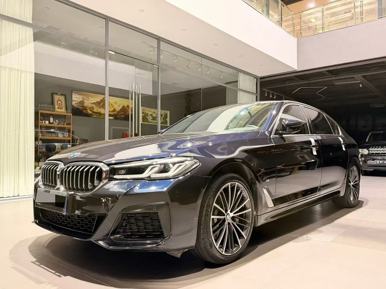 BMW 5 Series 2023 530Li 2.0T Leading Luxury Suit Automatic Gear - View 1