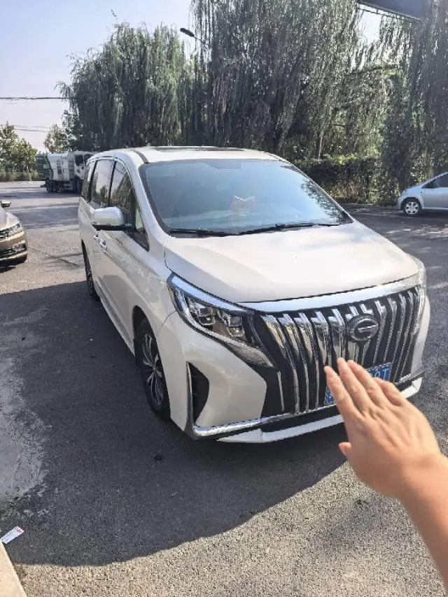 Chuanqi 2024 M8 2.0T 390T Lingxiu Series Deluxe Edition Automatic Gear 2
