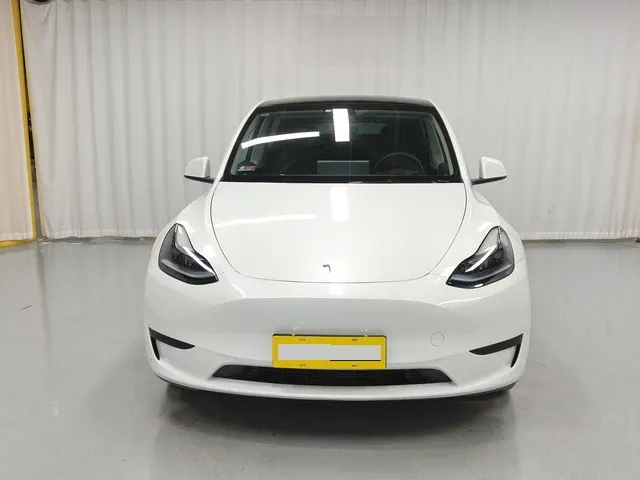 Tesla 2024 Model Y rear-wheel drive version automatic transmission 2