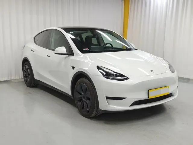 Tesla 2024 Model Y rear-wheel drive version automatic transmission 3