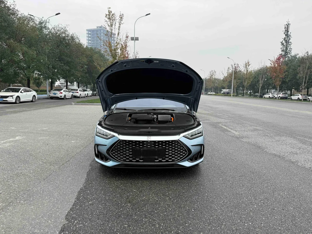 BYD 2023 Han DM-i 1.5T stepless champion version 121KM exclusive automatic gear 12