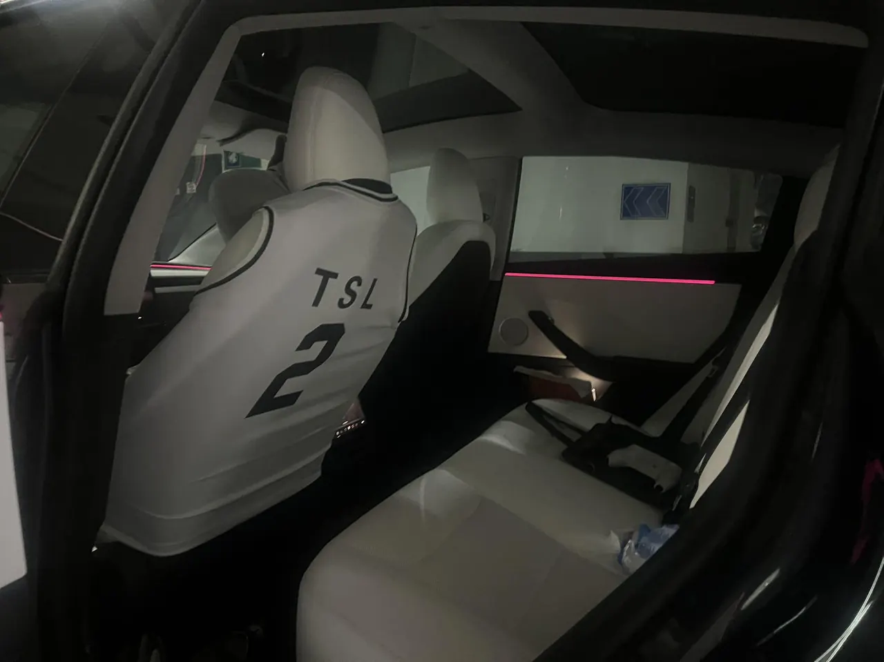 Tesla 2023 Model 3 Rejuvenation Edition Rear Wheel Drive Automatic Transmission 4