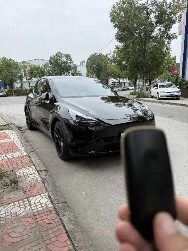 Tesla 2022 Model Y rear-wheel drive version (facelift) automatic gear 2