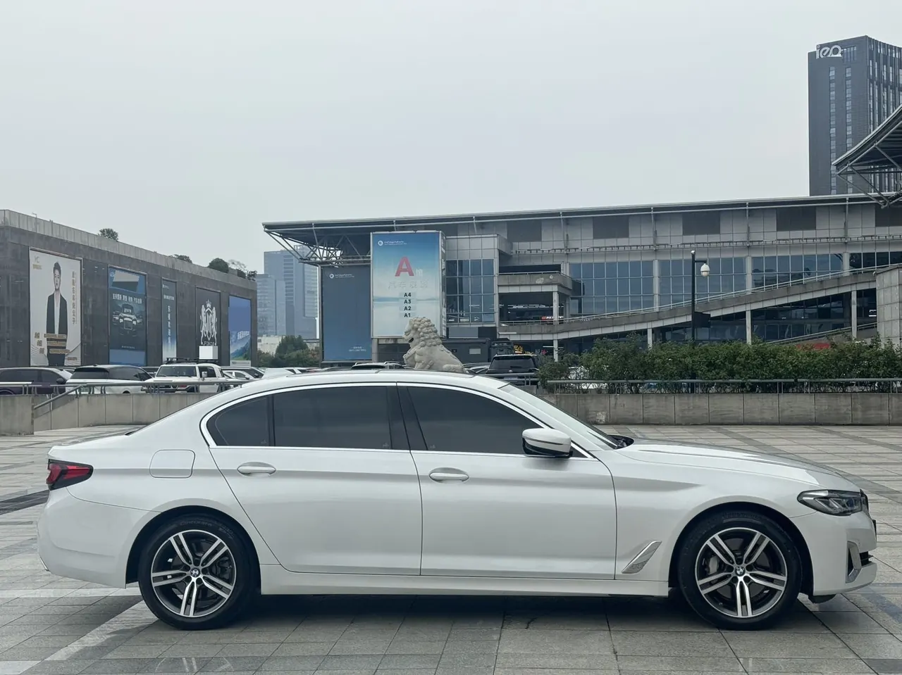 BMW 5 Series 2021 530Li 2.0T Leading Luxury Suit Automatic Gear 5