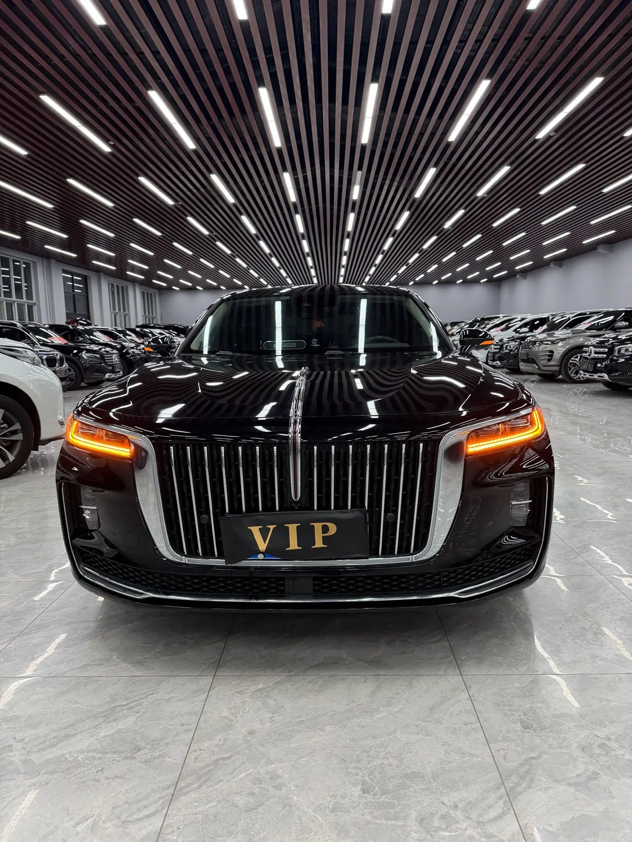 HongQi 2020 H9 48V 2.0T Zhilian Qi Chang Edition Automatic Gear 3