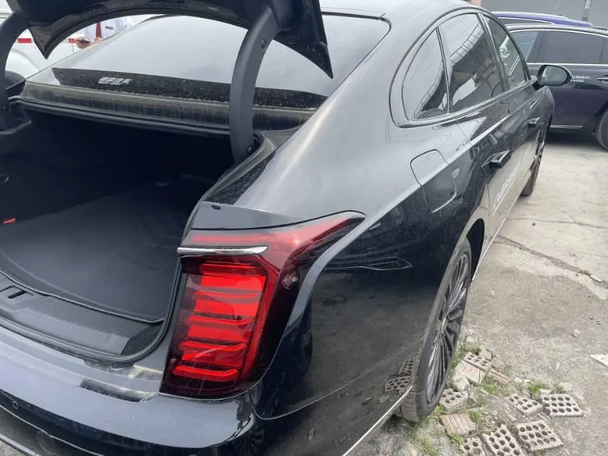 HongQi 2025 H9 48V 2.0T two-wheel drive flag smooth private fashion version 5 automatic gear 7