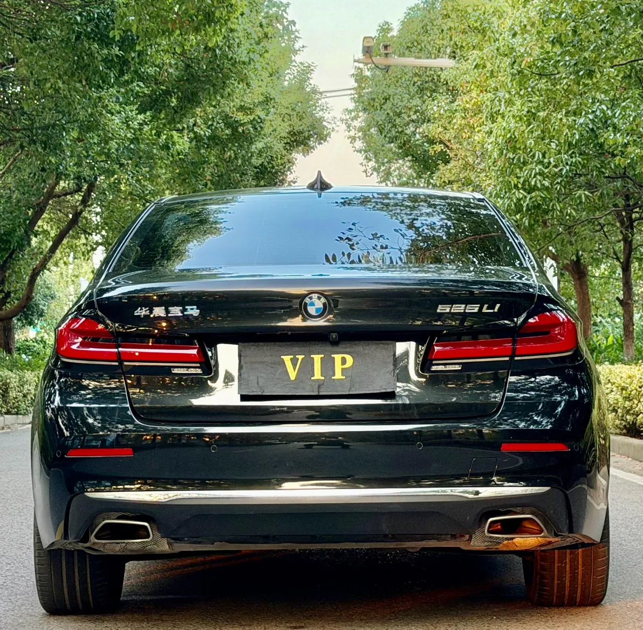 BMW 5 Series 2021 525Li 2.0T Luxury Suit Automatic Gear 6