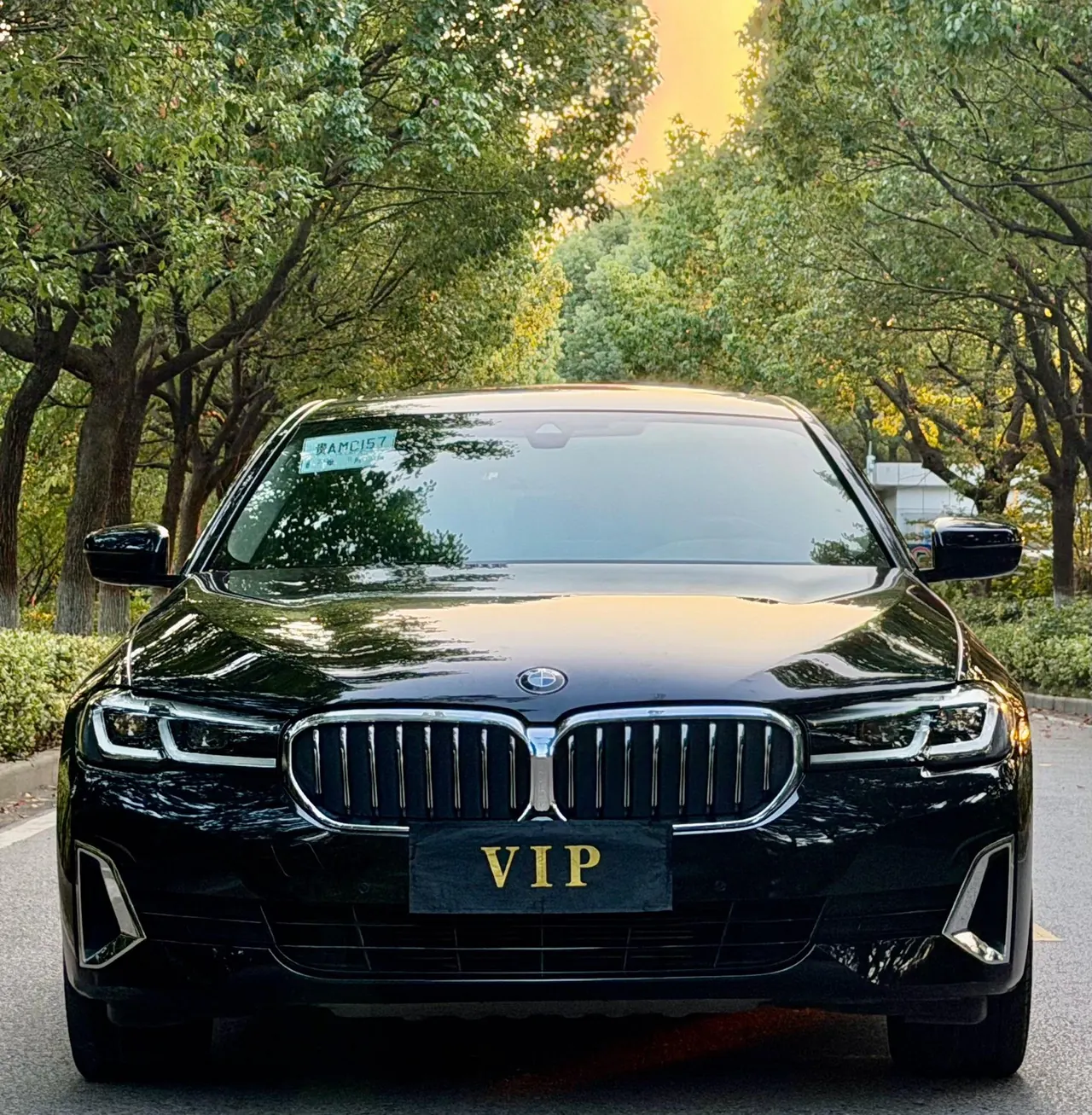 BMW 5 Series 2021 525Li 2.0T Luxury Suit Automatic Gear 7