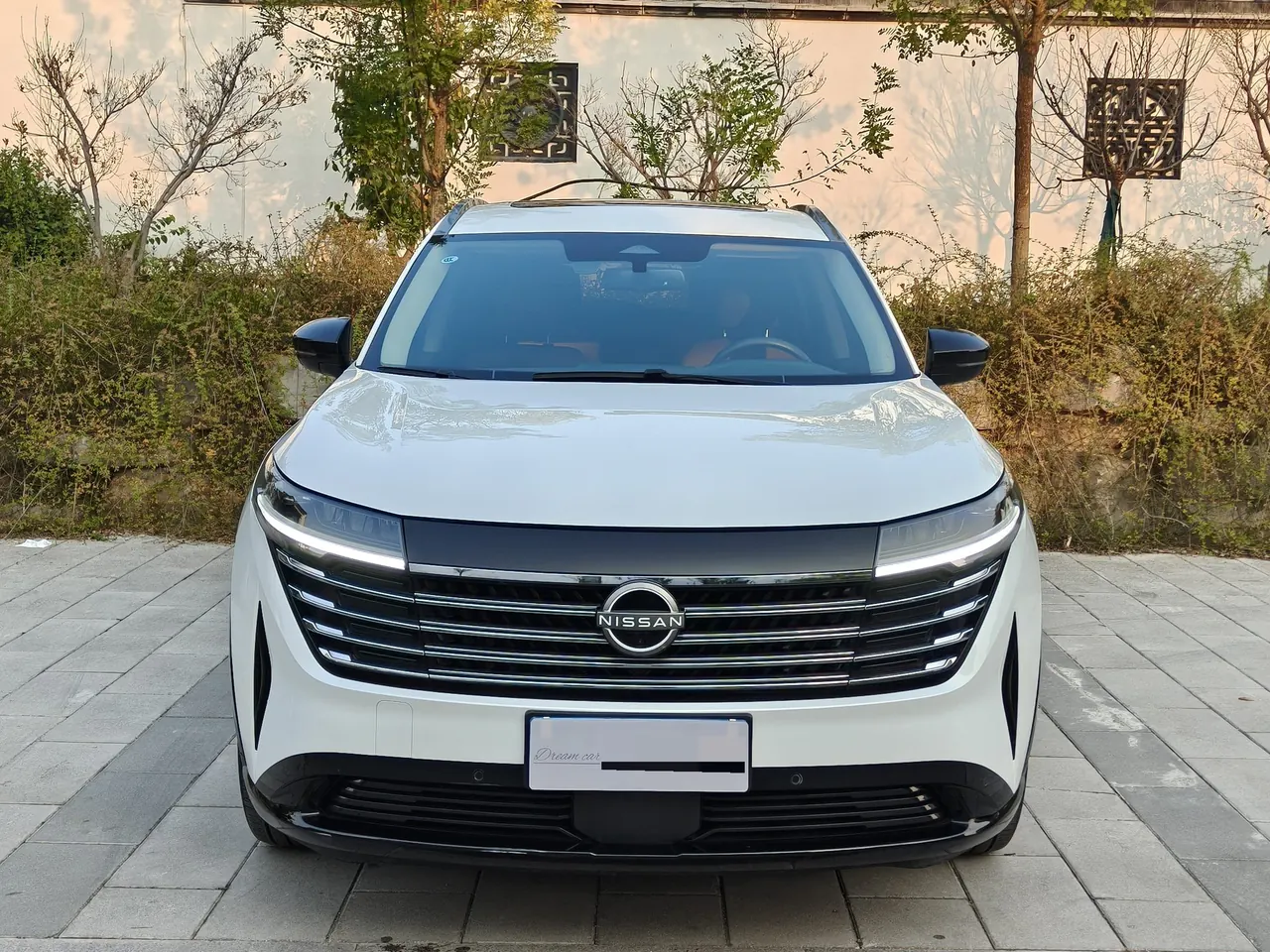 Nissan 2024 Land Exploration 2.0T 380VC-TURBO Four-wheel Drive Intelligent Driving Edition 6-seat Automatic Gear 3