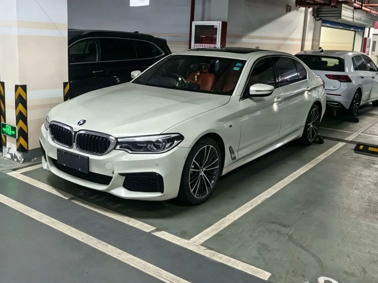 BMW 5 Series 2020 530Li 2.0T Exclusive M Sports Suit Automatic Gear - View 1