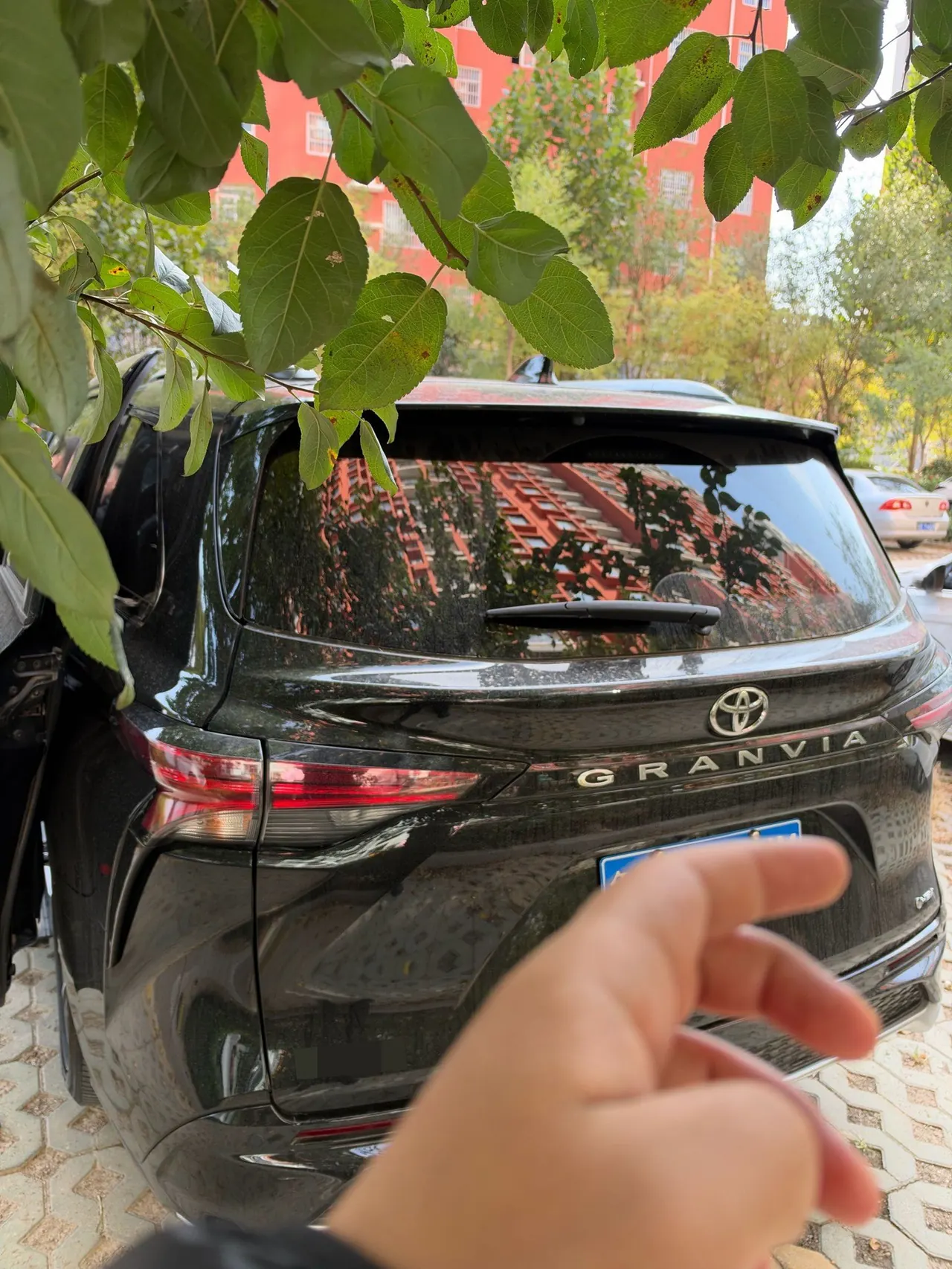 Toyota 2024 Grevia HYBRID 2.5 Stepless Deluxe Edition Automatic Transmission 5