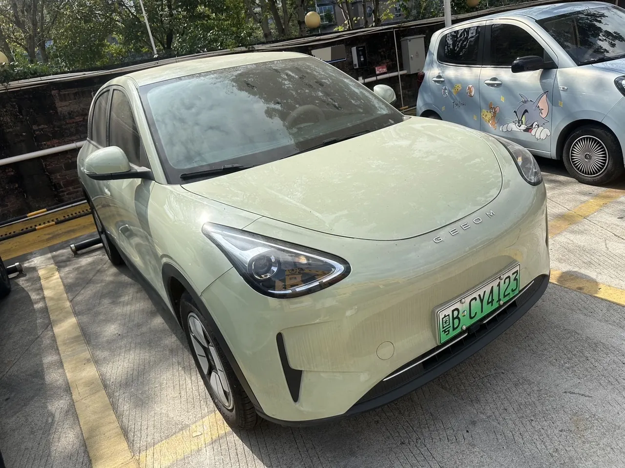 Geely 2024 Star Wish 310km Youth Edition Automatic Gear 3