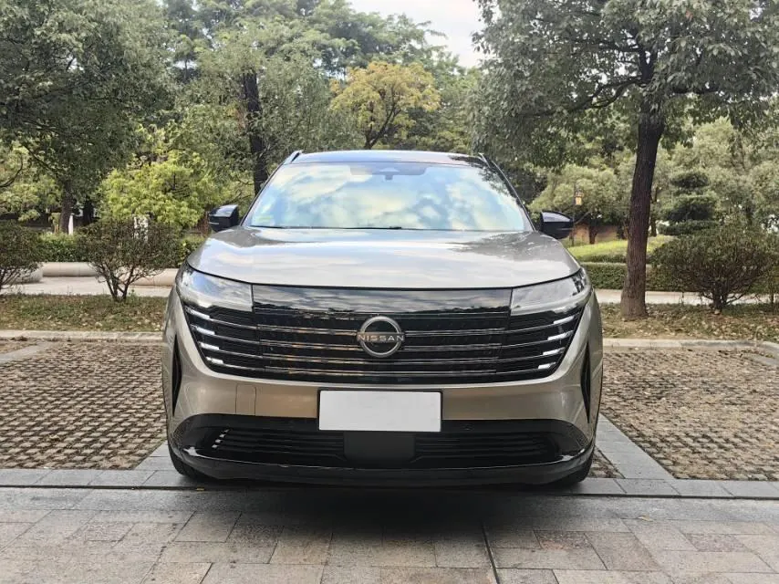 Nissan 2024 Tanlu 2.0T 380VC-TURBO 4-wheel drive Zhizun Edition 6-seat automatic gear 2